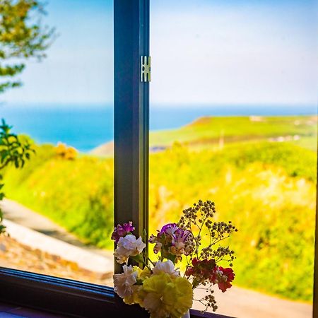 Polrunny Farm Elderberry Cottage With Sea View Boscastle Ngoại thất bức ảnh