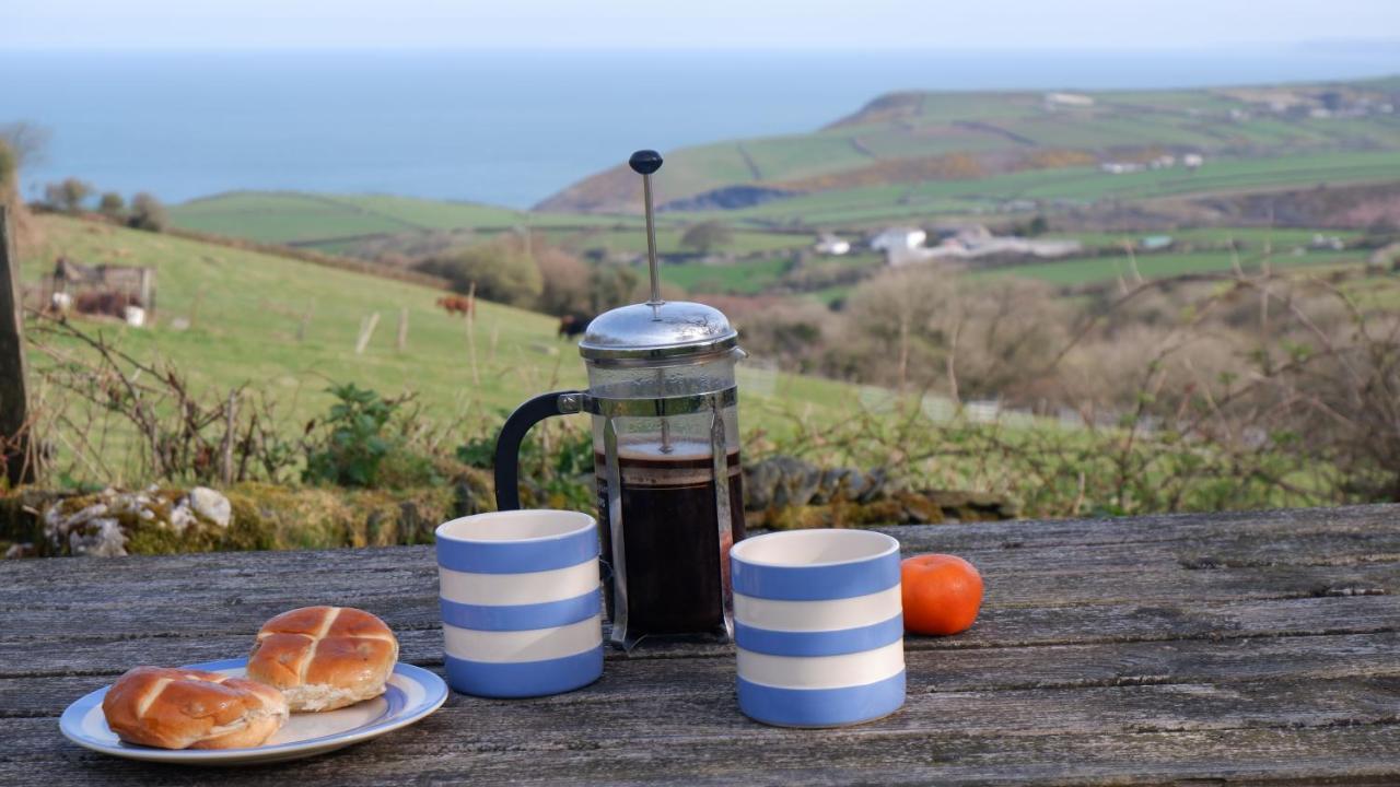 Polrunny Farm Elderberry Cottage With Sea View Boscastle Ngoại thất bức ảnh