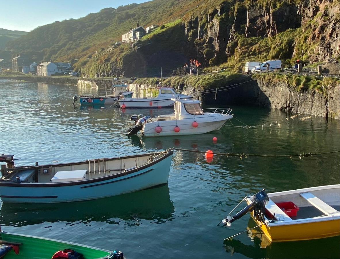 Polrunny Farm Elderberry Cottage With Sea View Boscastle Ngoại thất bức ảnh