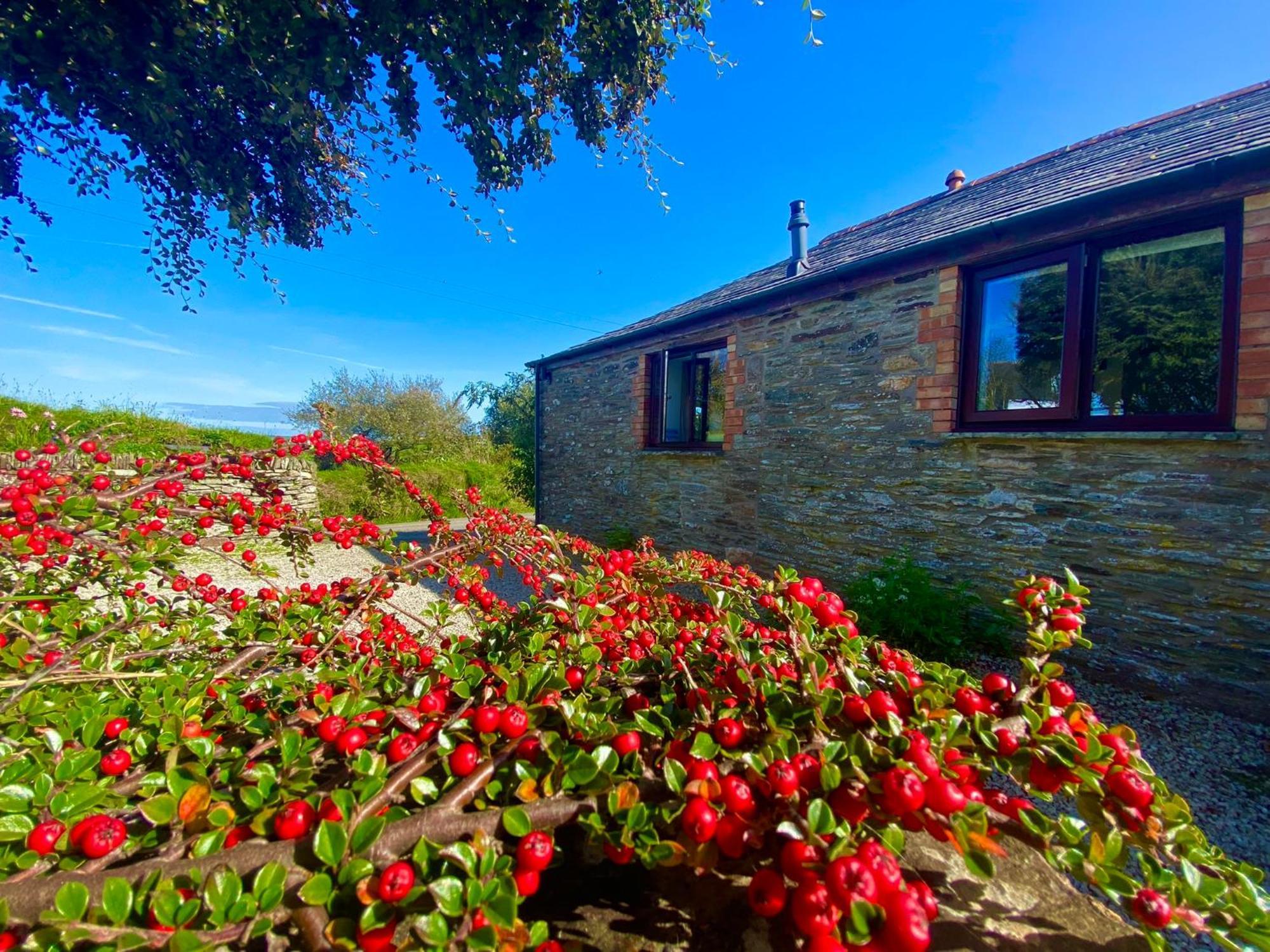 Polrunny Farm Elderberry Cottage With Sea View Boscastle Ngoại thất bức ảnh
